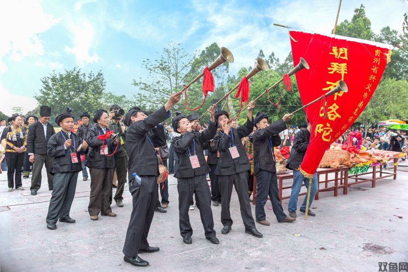 五新装备WD561的价格是多少