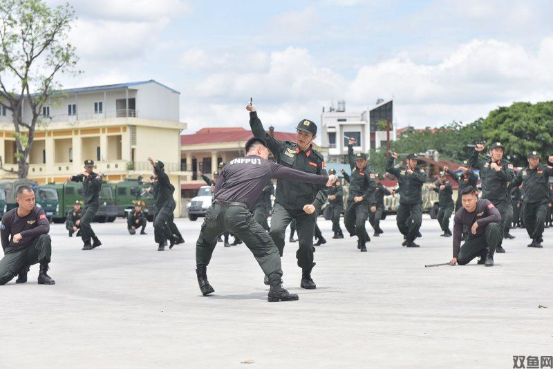 蛋仔派对新兵手册入口在哪里
