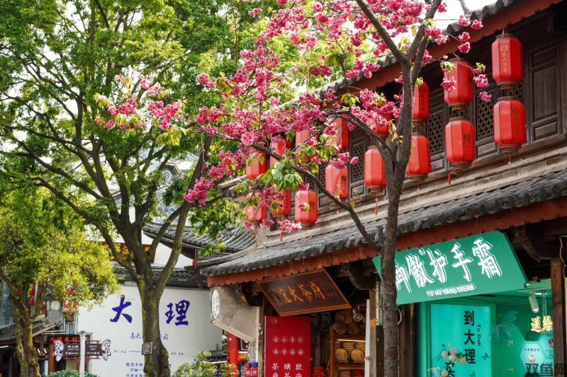 《血源》十周年启示录：哥特美学如何炼成PS4时代"常青树"