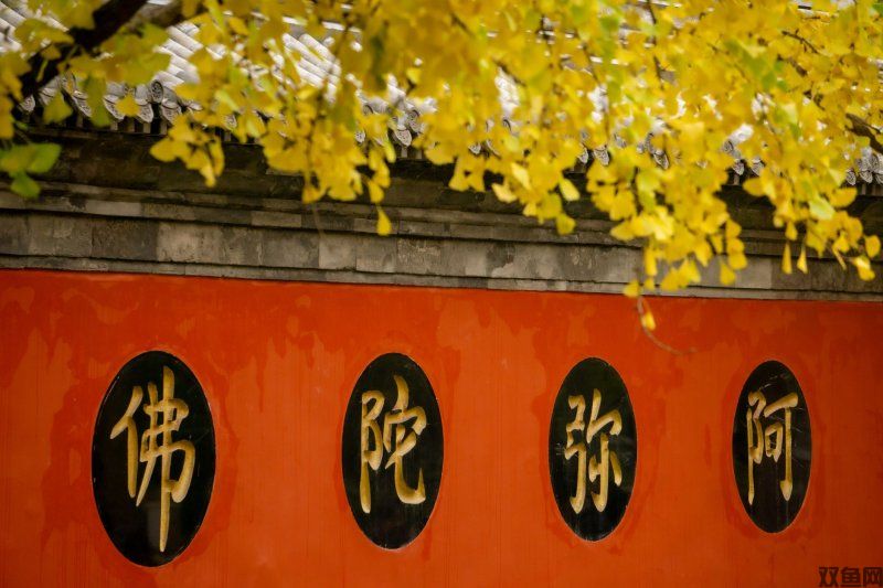 IGN揭秘《战神》成功密码：重塑，开启奎爷神话宇宙新篇