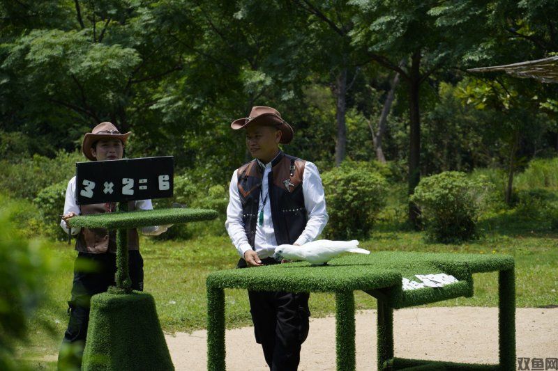 《怪猎荒野》日区口碑扑街，好评率仅56%，日本玩家也坐不住了！