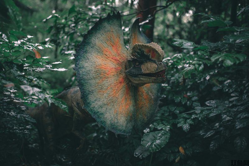 《怪猎荒野》PC版优化遭重锤，外媒发声：最大难题非怪物而是它