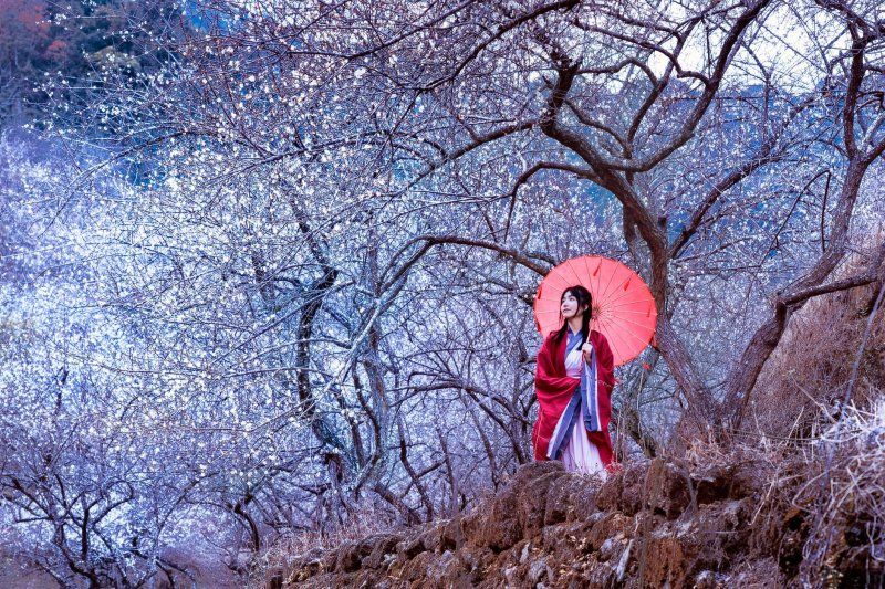 十大画质唯美仙侠手游