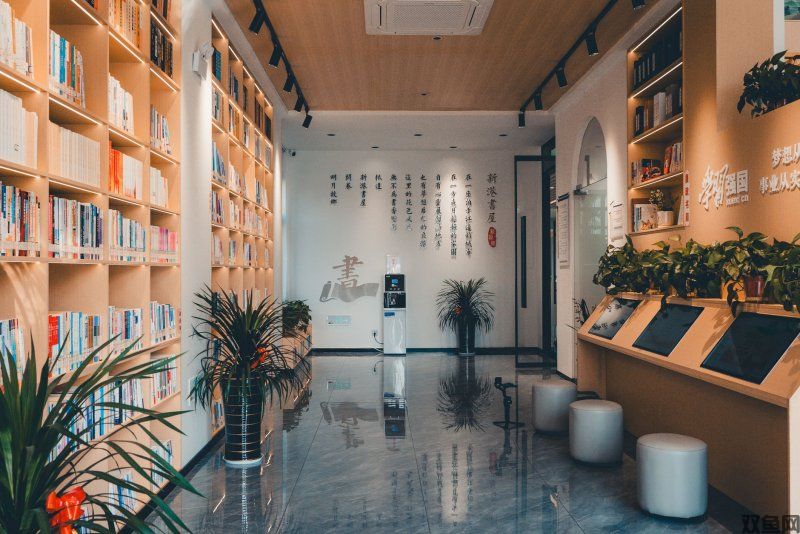 《丝之歌》在美国NS商店下架