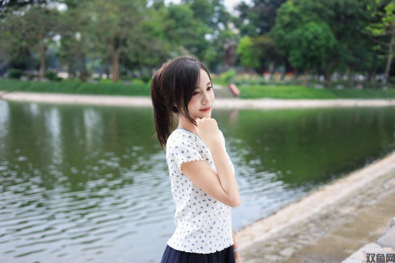 上班不再无聊！Steam摸鱼新游桌面养萌宠，今日开玩