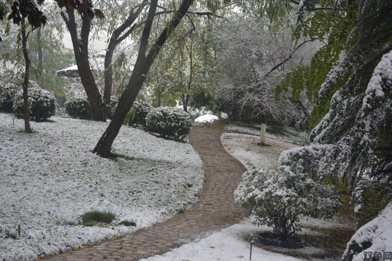 飘雪传奇手游,飘雪传奇手游官网下载