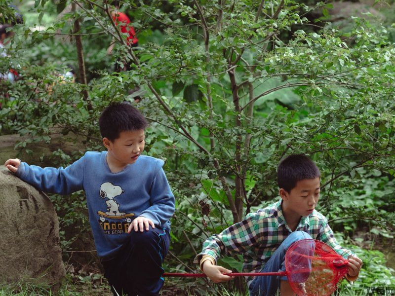 贪狼传奇手游,贪狼传奇手游官网下载