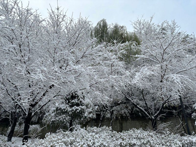 冰雪180复古传奇手游