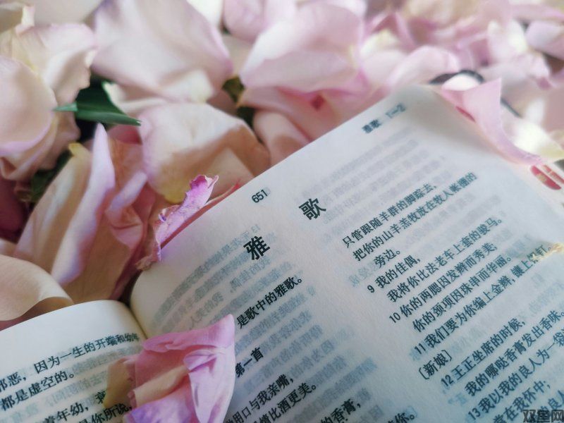 手游传奇合击版