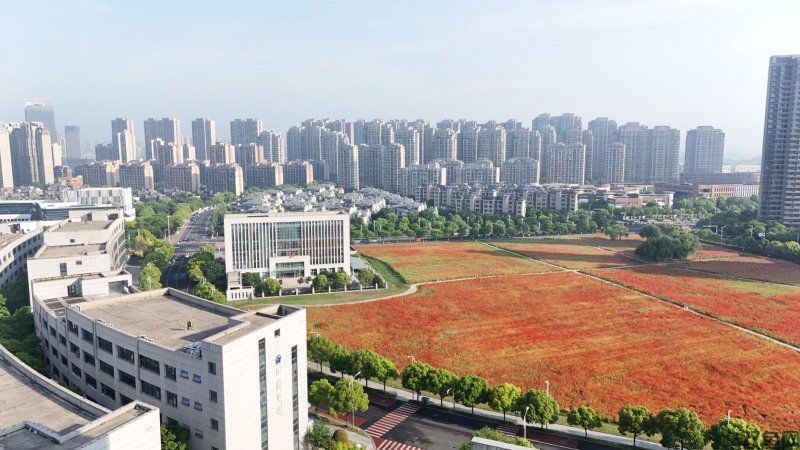 西域传奇手游,西域传奇手游官网下载