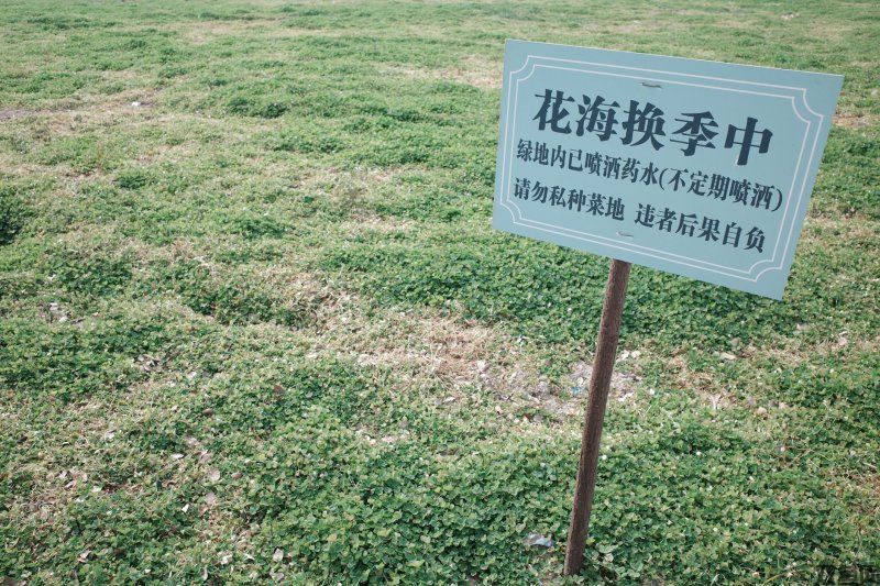 放置类传奇手游排行榜,推荐放置类传奇手游,放置类传奇手游排行