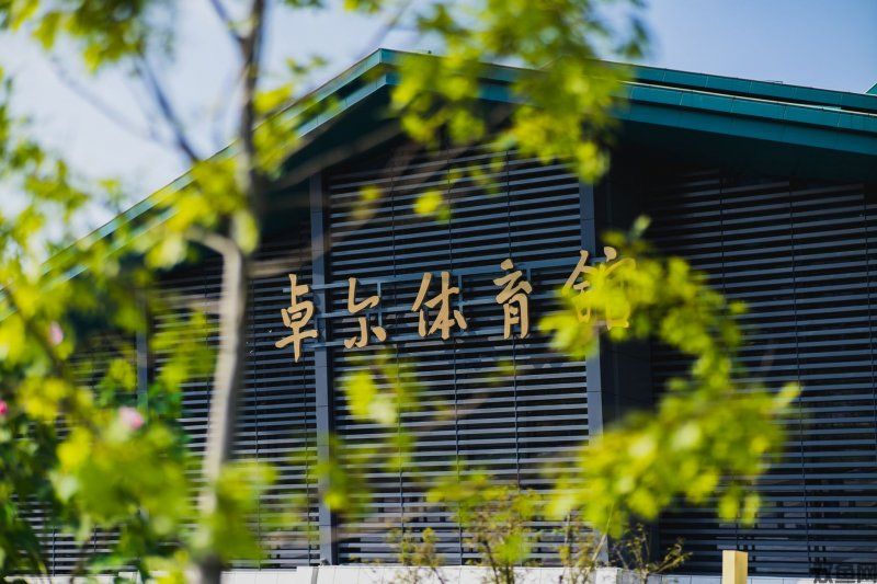 新出传奇手游推荐,新出传奇手游列表