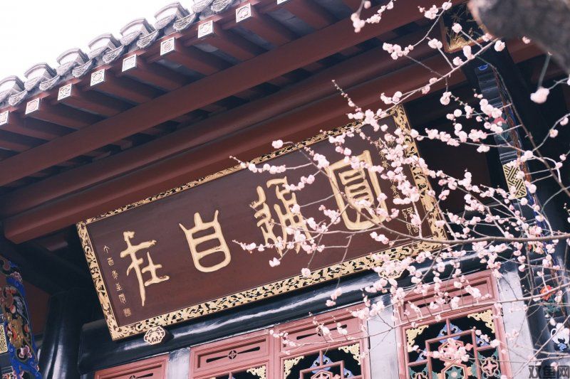 良心传奇手游推荐,良心传奇手游,良心传奇手游排行榜