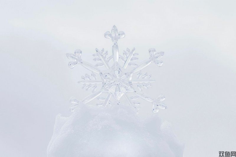 冰雪手游版传奇下载,冰雪手游版传奇,冰雪手游版传奇手游官网