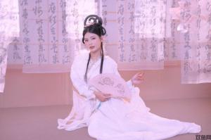 卧龙吟游戏副本里面的精英NPC每天什么时候刷新？