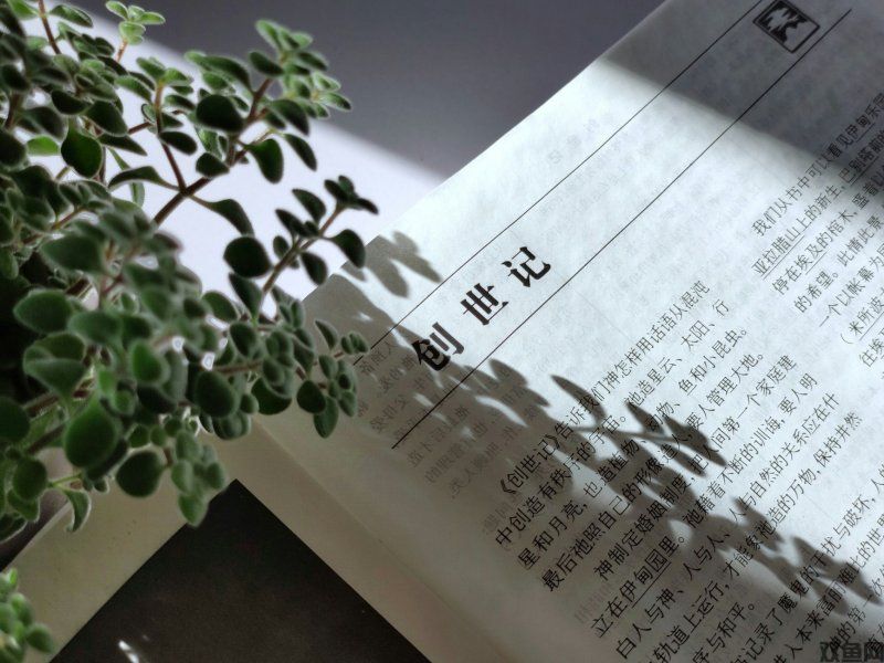 无人深空免安装绿色中文版