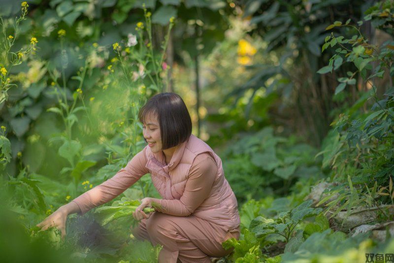星布谷地丰硕作物怎么种？超稳种植技巧分享，轻松量产高品质作物