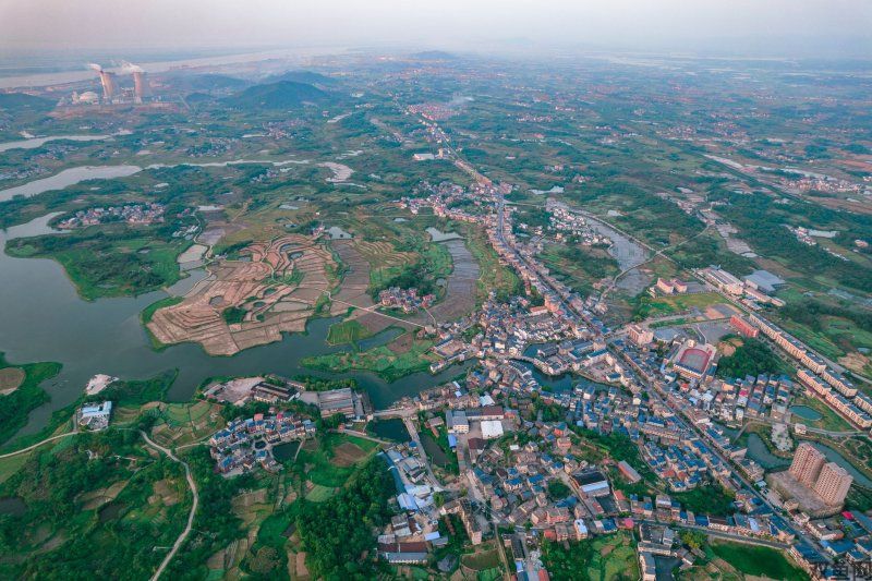 《幻兽帕鲁》帕鲁卡住不工作怎么办？搬运路线、设施间距与岗位检查