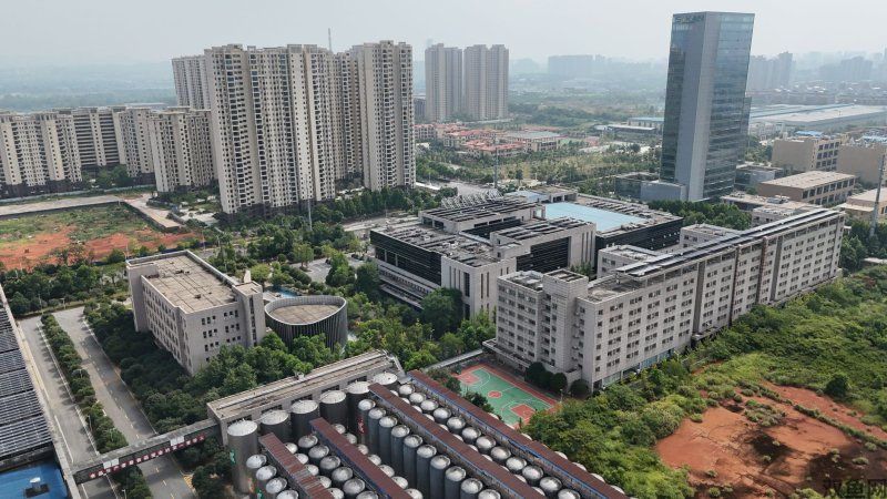 《泰拉瑞亚》NPC不卖想要的东西？入住条件、环境与事件状态排查