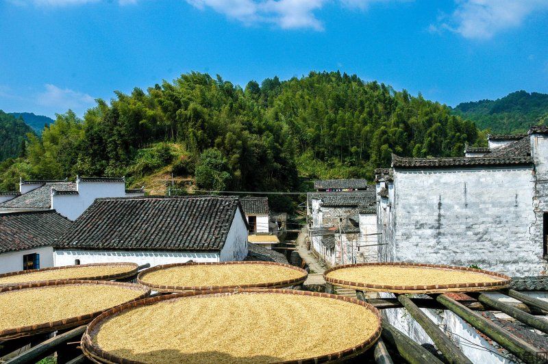 《星露谷物语》第一年献祭总漏材料？按季节整理收集与保留清单